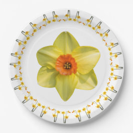 Prato De Papel Loucura de narcisos.