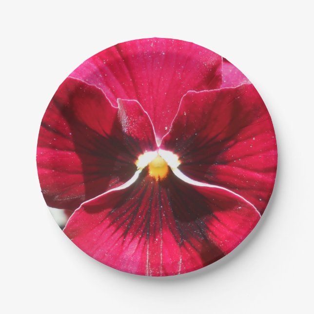 Prato De Papel Lucrezia (Frente)