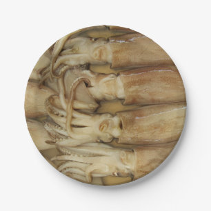 Prato De Papel Lula - Calamari