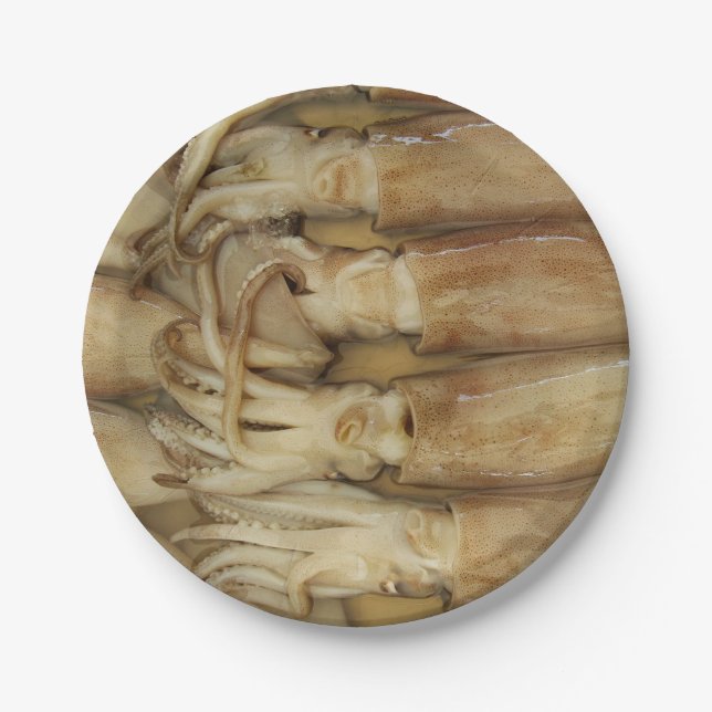 Prato De Papel Lula - Calamari (Frente)