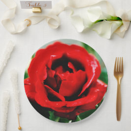 Prato De Papel Magnífico Rosa vermelha Love