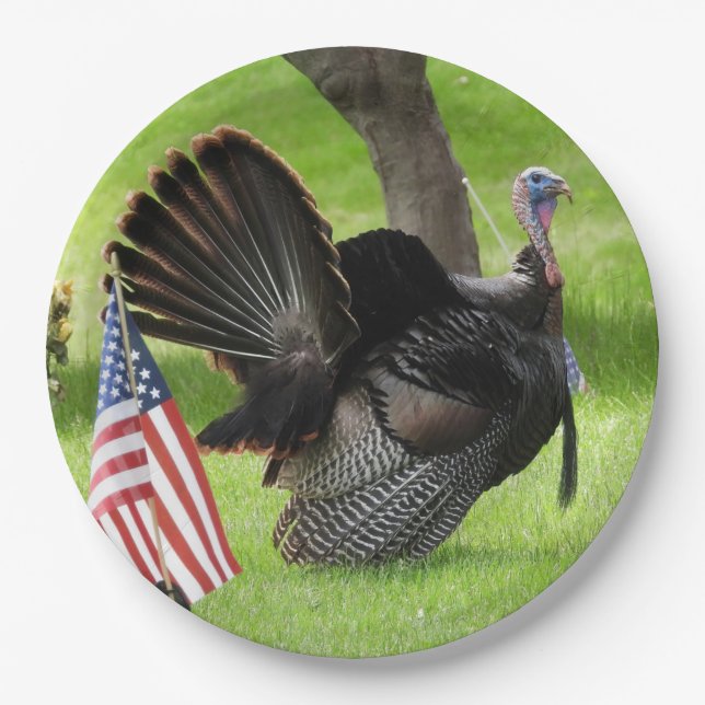 Prato De Papel Male Wild Turkey Com Bandeira Americana Plate (Frente)