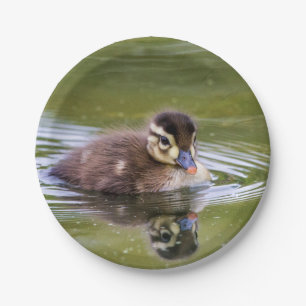 Prato De Papel Mallard Duckling