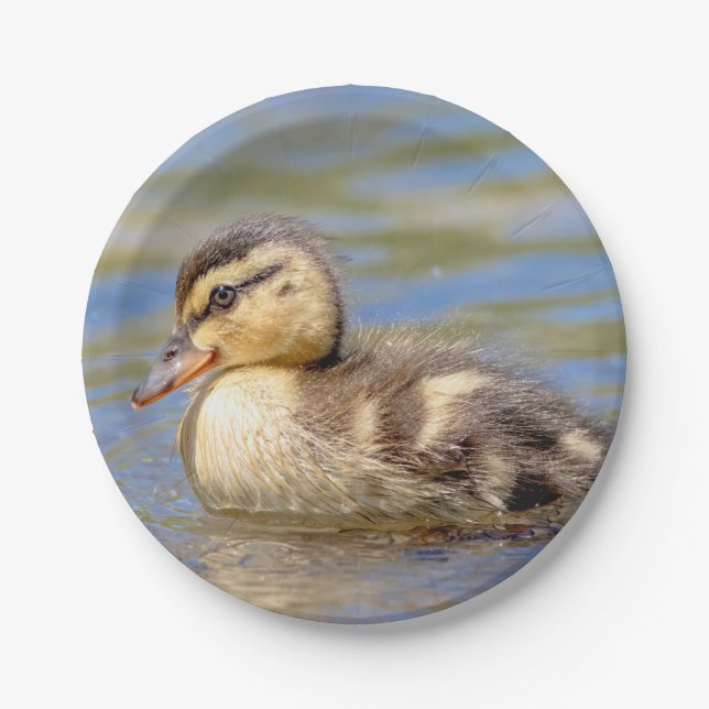 Prato De Papel Mallard Duckling (Frente)