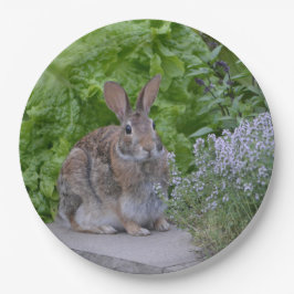 Prato De Papel Mama Bunny