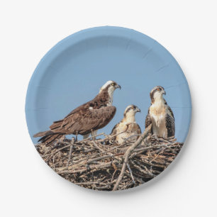 Prato De Papel Mamãe Osprey com seus filhos