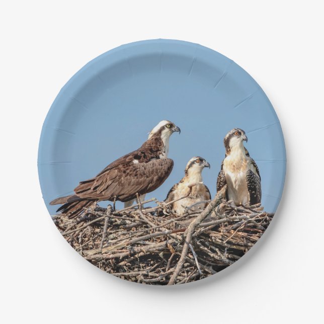 Prato De Papel Mamãe Osprey com seus filhos (Frente)