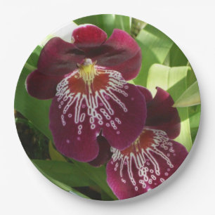 Prato De Papel Maroon Orchids II Elegante Floral