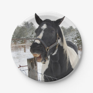 Prato De Papel Mastigação de Cavalo Bonito num Posto de Cerca