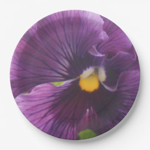 Prato De Papel Mecânica