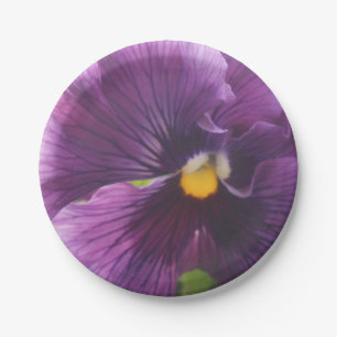 Prato De Papel Mecanismos