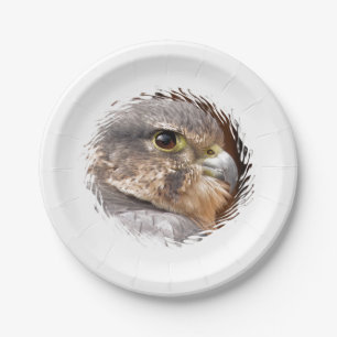 PRATO DE PAPEL MERLIN FALCON BIRD OF PREY