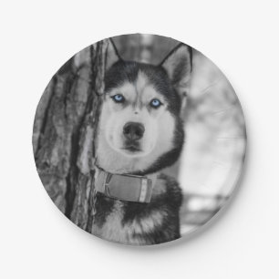 Prato De Papel Meus olhos de azuis bebés