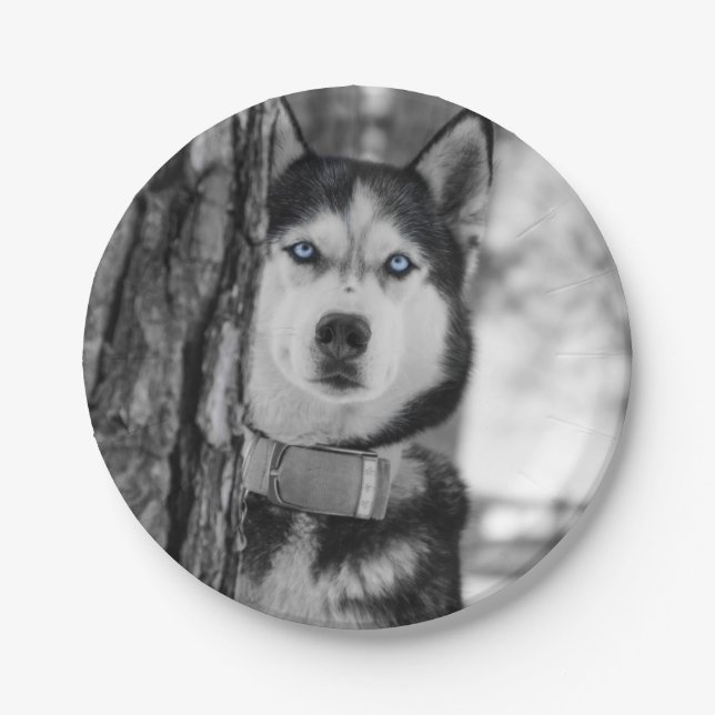 Prato De Papel Meus olhos de azuis bebés (Frente)