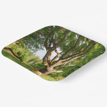 Midverão Light Småland