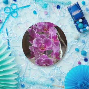 Prato De Papel Mini Phalaenopsis Sogo Vivien Purple Orchid Flower