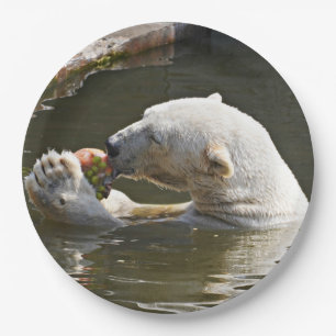 Prato De Papel Momento de Urso Polar Comendo Fruta