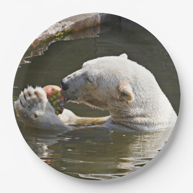 Prato De Papel Momento de Urso Polar Comendo Fruta (Frente)