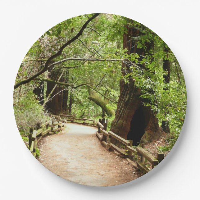 Prato De Papel Muir Woods Path II - Fotografia natural (Frente)