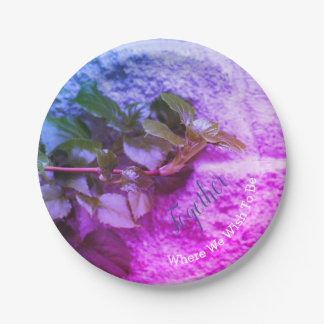 Prato De Papel Na moda de cor redonda