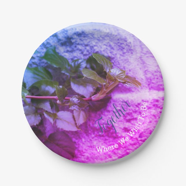 Prato De Papel Na moda de cor redonda (Frente)