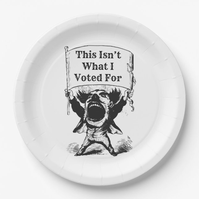 Prato De Papel Não foi por isso que votei (Frente)