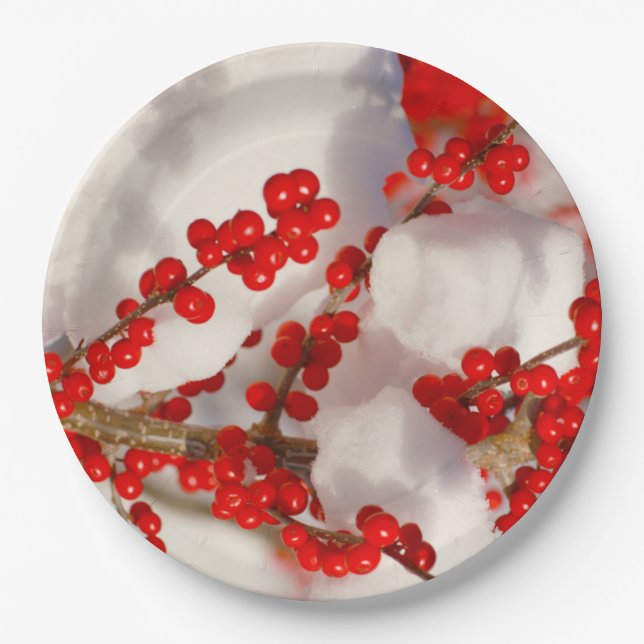 Prato De Papel Natal Snow Red Holiday Berries Xmas (Frente)