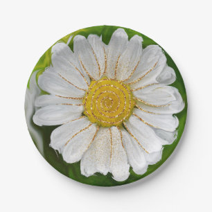 Prato De Papel Novos começos - Poder das flores margaridas