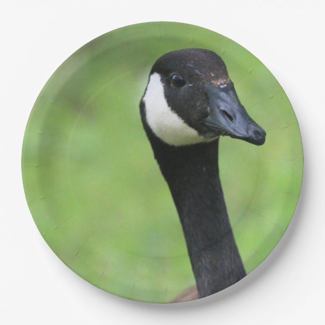 Prato De Papel O quê? (Frente)