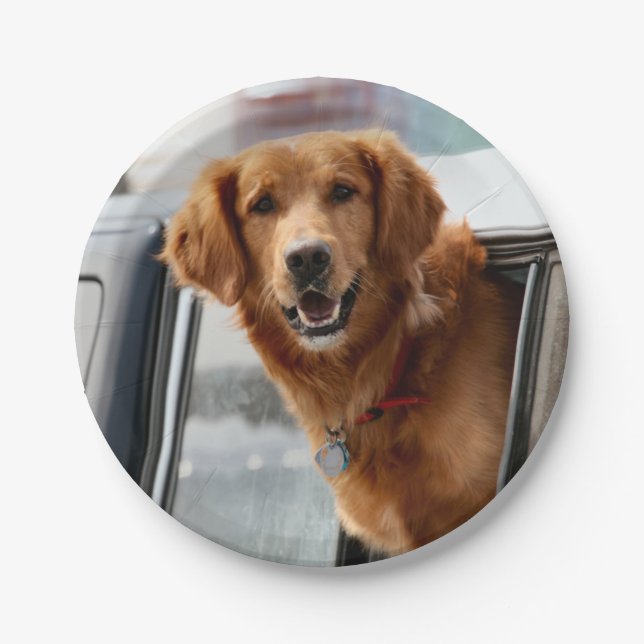 Prato De Papel Olá (Frente)