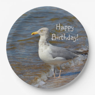 Prato De Papel Olhando a gaivota