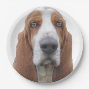 Prato De Papel Olhos brilhantes Basset Hound