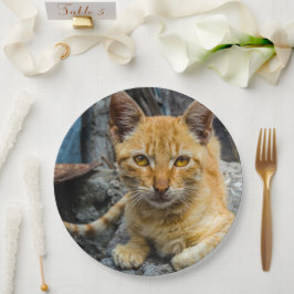 Prato De Papel Olhos de ouro