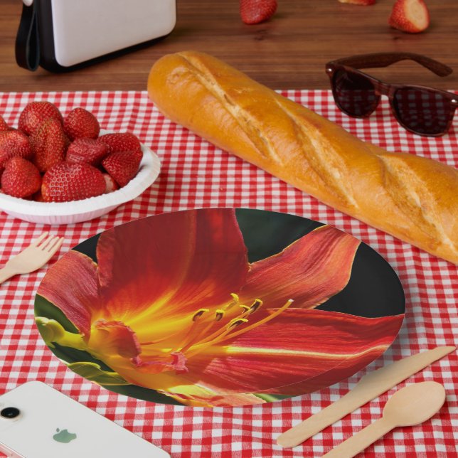 Prato De Papel Orange Daylily Bloom Floral (Piquenique)