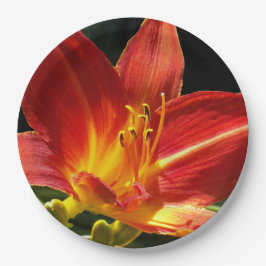 Prato De Papel Orange Daylily Bloom Floral