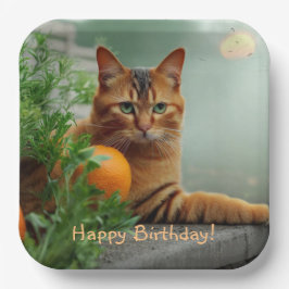 Prato De Papel Orange Tabby Cat