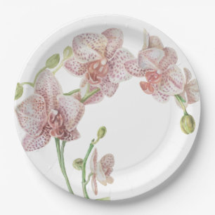 Prato De Papel Orquídea Ilustrada à Mão