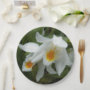 Prato De Papel Orquídeas Brancas de Coelogyne Mooreana