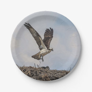 Prato De Papel Osprey em um ninho