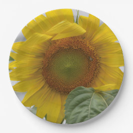 Prato De Papel Ouro Girassol