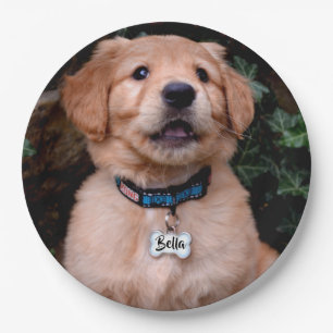 Prato De Papel Ouro Retriever Puppy personalize o nome de etiquet