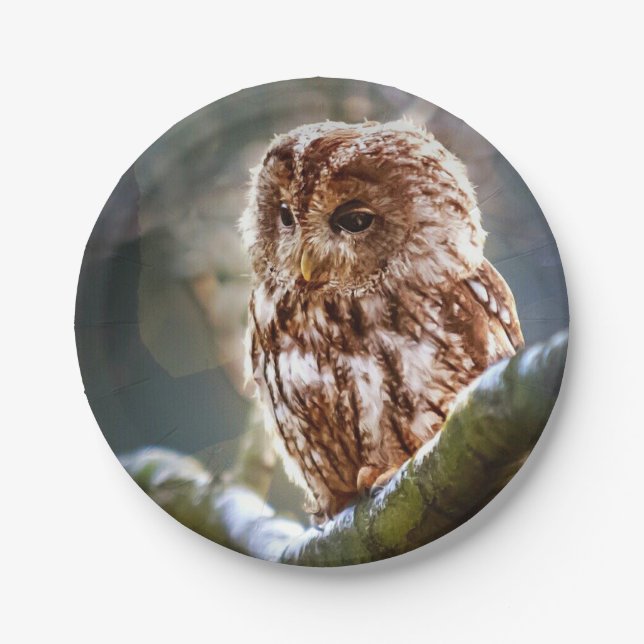 Prato De Papel Owl Hoo (Frente)