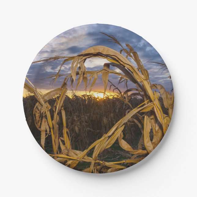 Prato De Papel Ozarks Harvest (Frente)