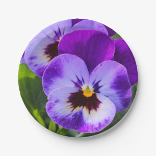 Prato De Papel Pansy, um lago gigante, preenche isto