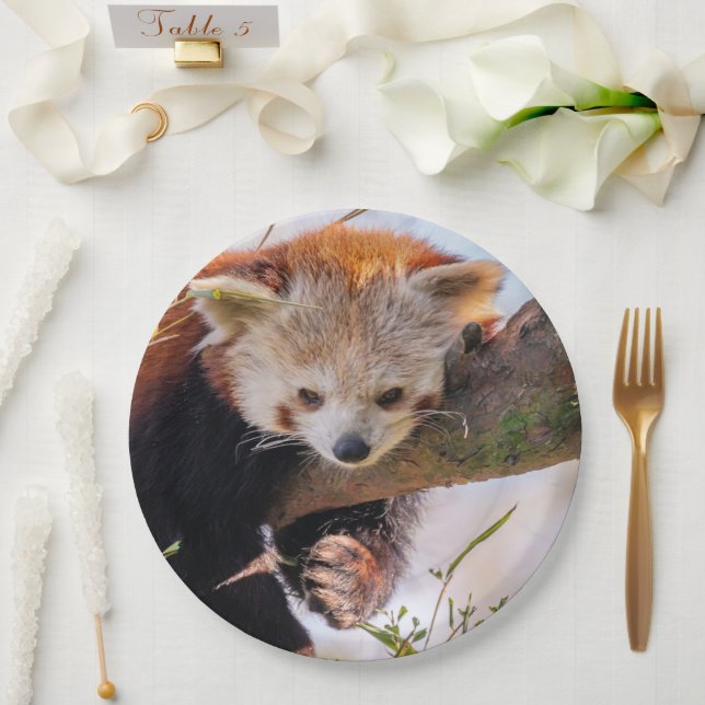 Prato De Papel Pantaninha vermelha preguiçosa (Casamento)