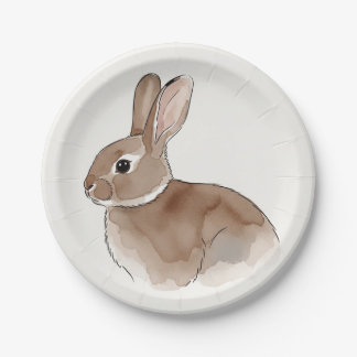 Prato De Papel Paper Plate