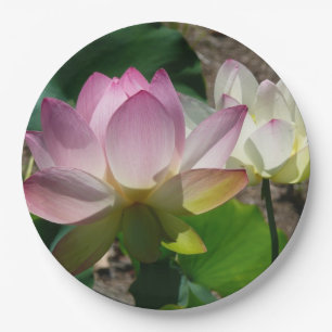 Prato De Papel Par de Flores de Lotus I