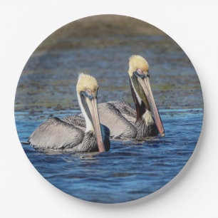 Prato De Papel Par de Pelicanos