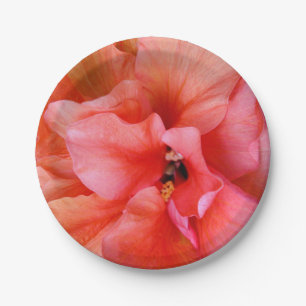 Prato De Papel Partido alaranjado cor-de-rosa coral da flor