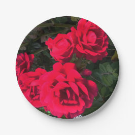 Prato De Papel Partido Românico da Flor da Rosa vermelha